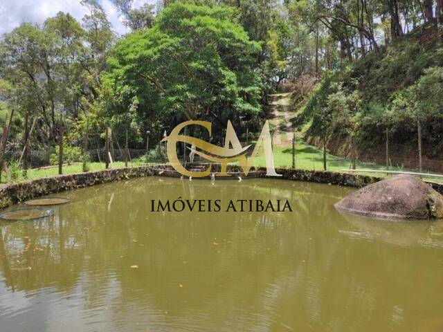 #206 - Sítio para Venda em Atibaia - SP - 2