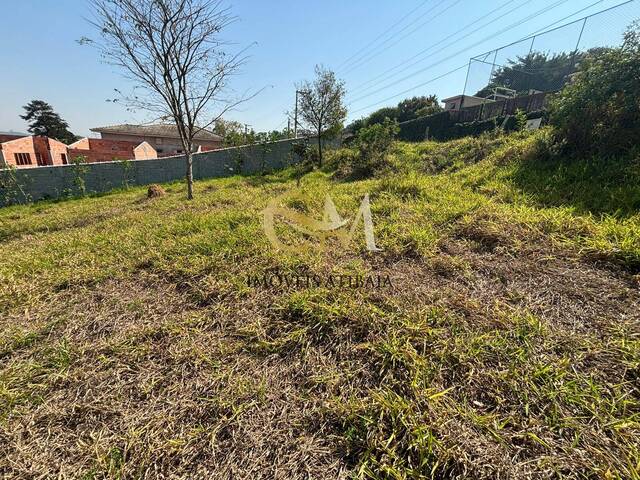 Terreno para Venda em Bom Jesus dos Perdões - 4