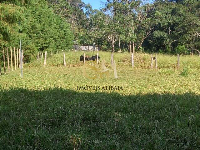 Sítio para Venda em Nazaré Paulista - 5