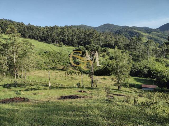 Venda em Área Rural de Joanópolis - Joanópolis