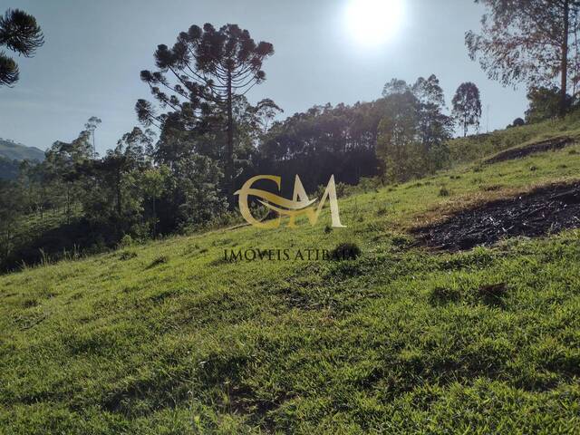 Sítio para Venda em Joanópolis - 5