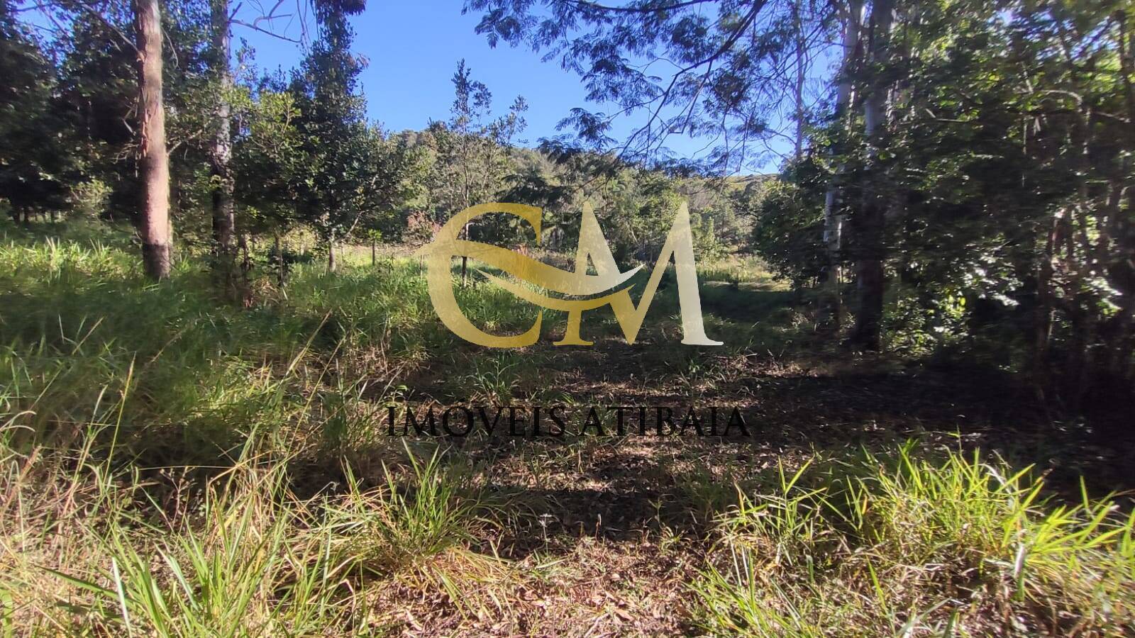 Sítio, 10 quartos, 25 hectares - Foto 110