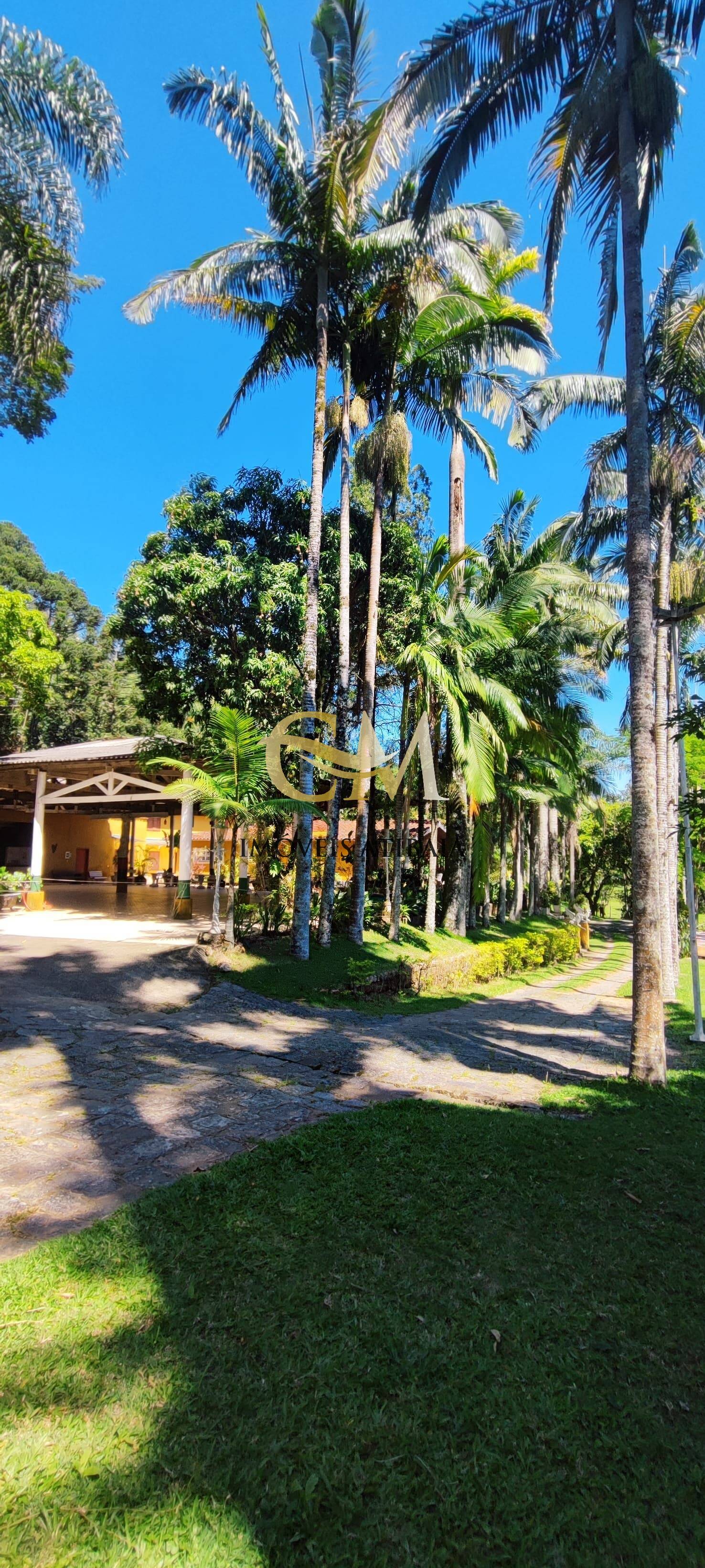 Sítio à venda com 7 quartos, 169000m² - Foto 26