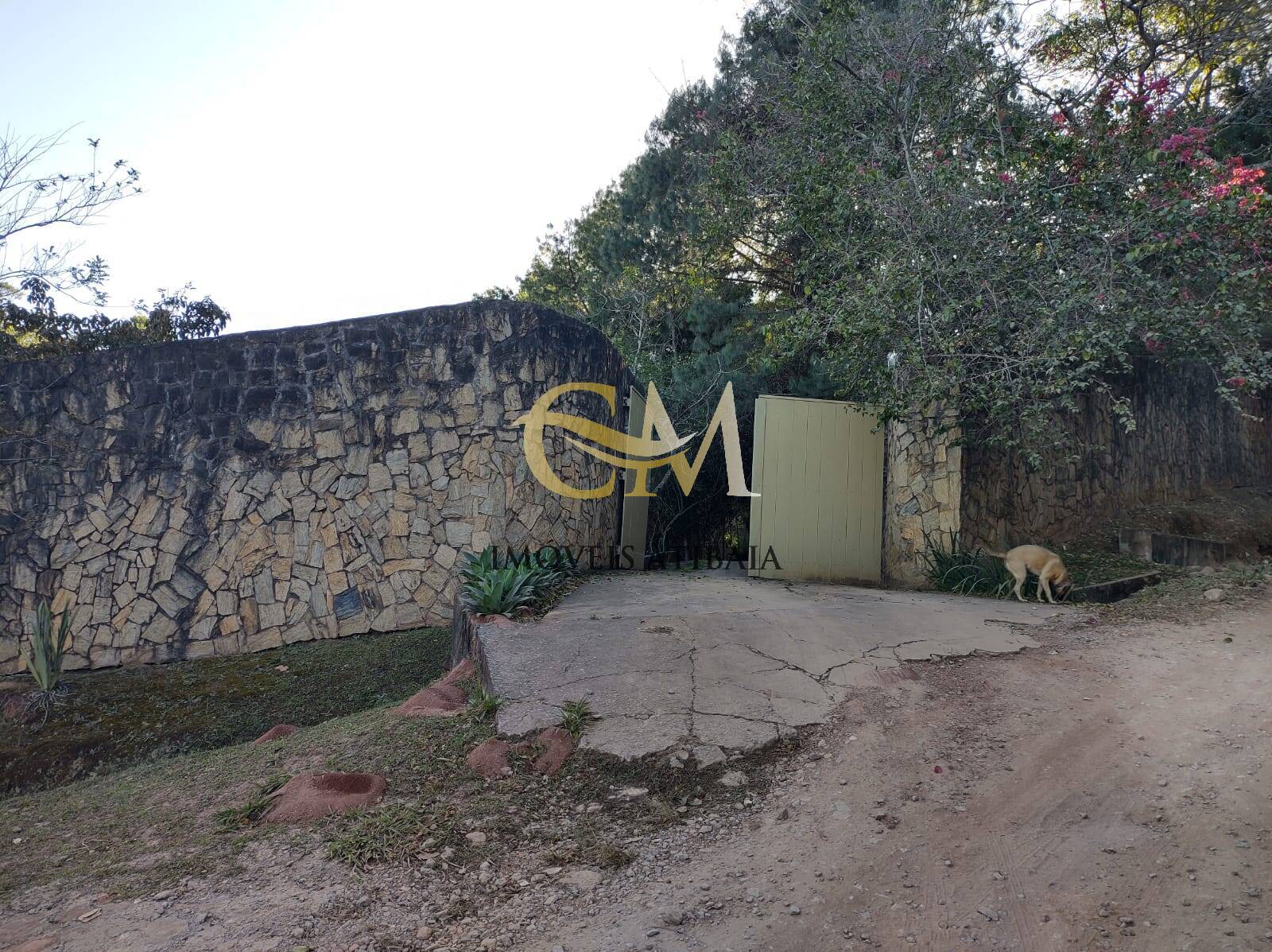 Sítio, 5 quartos, 2 hectares - Foto 2