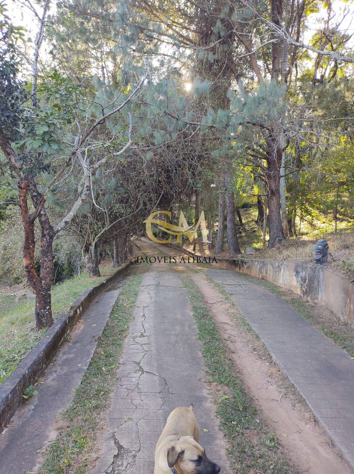 Sítio, 5 quartos, 2 hectares - Foto 3