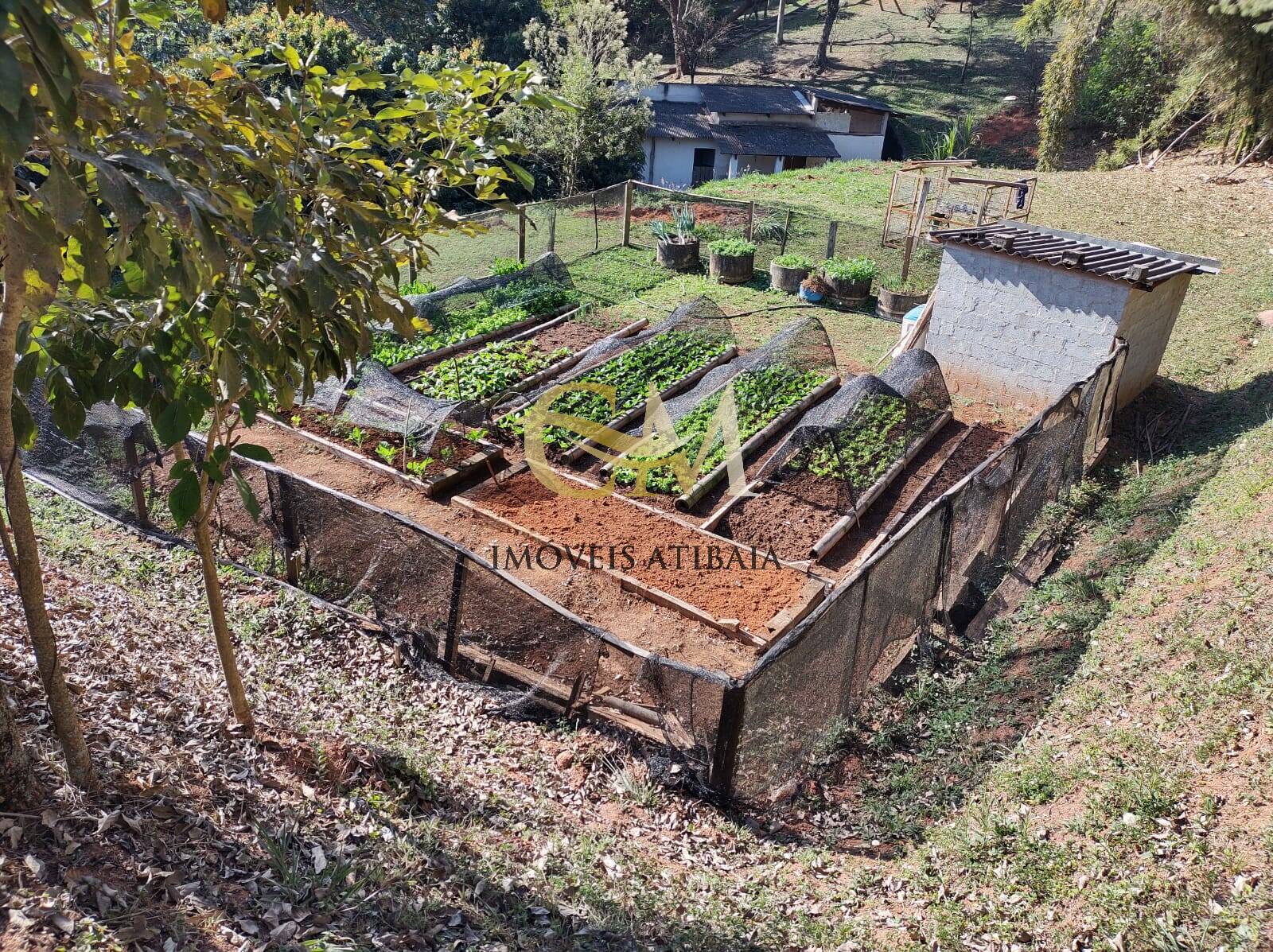 Sítio, 5 quartos, 2 hectares - Foto 47