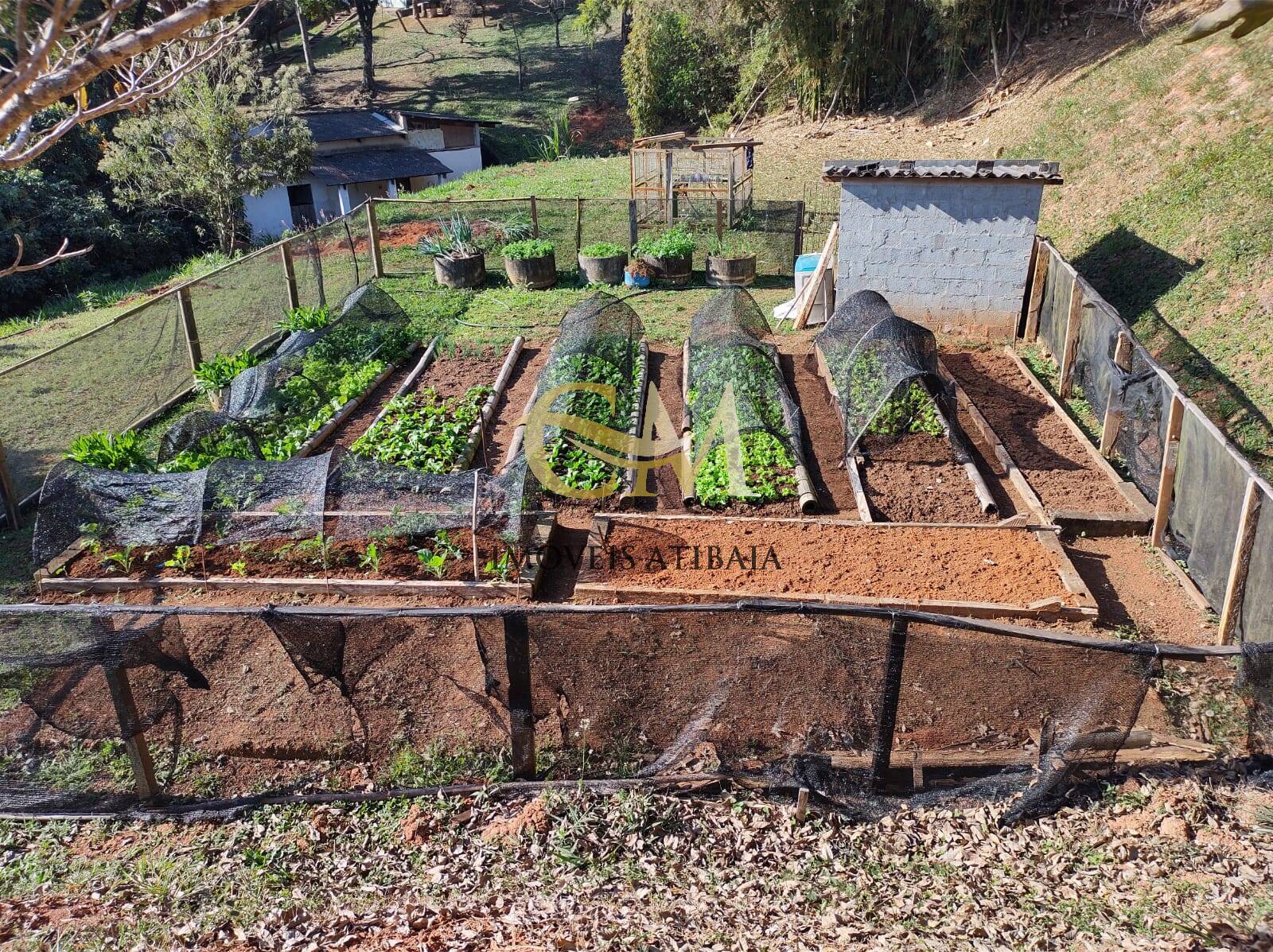 Sítio, 5 quartos, 2 hectares - Foto 48