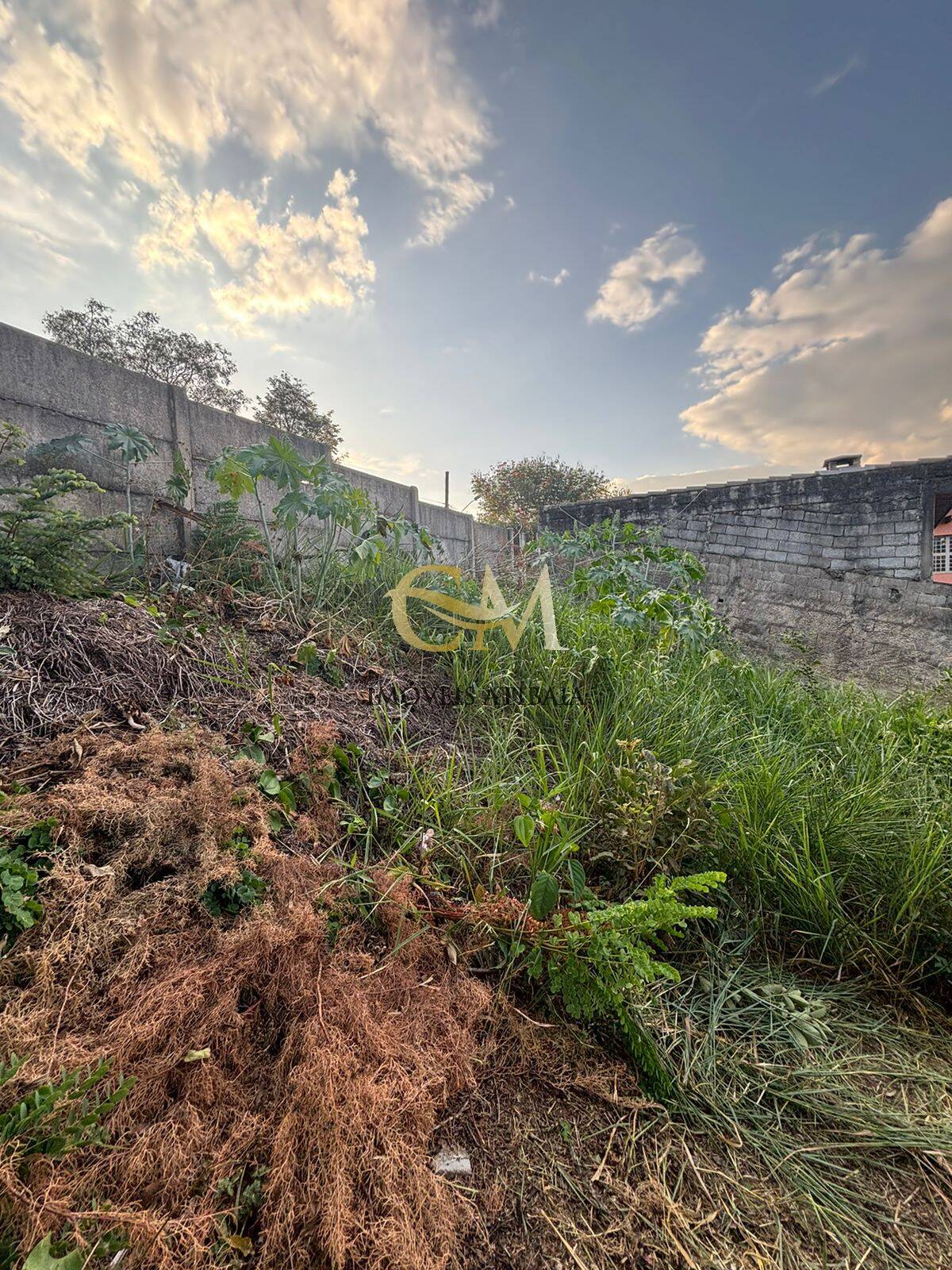 Terreno, 290 m² - Foto 8