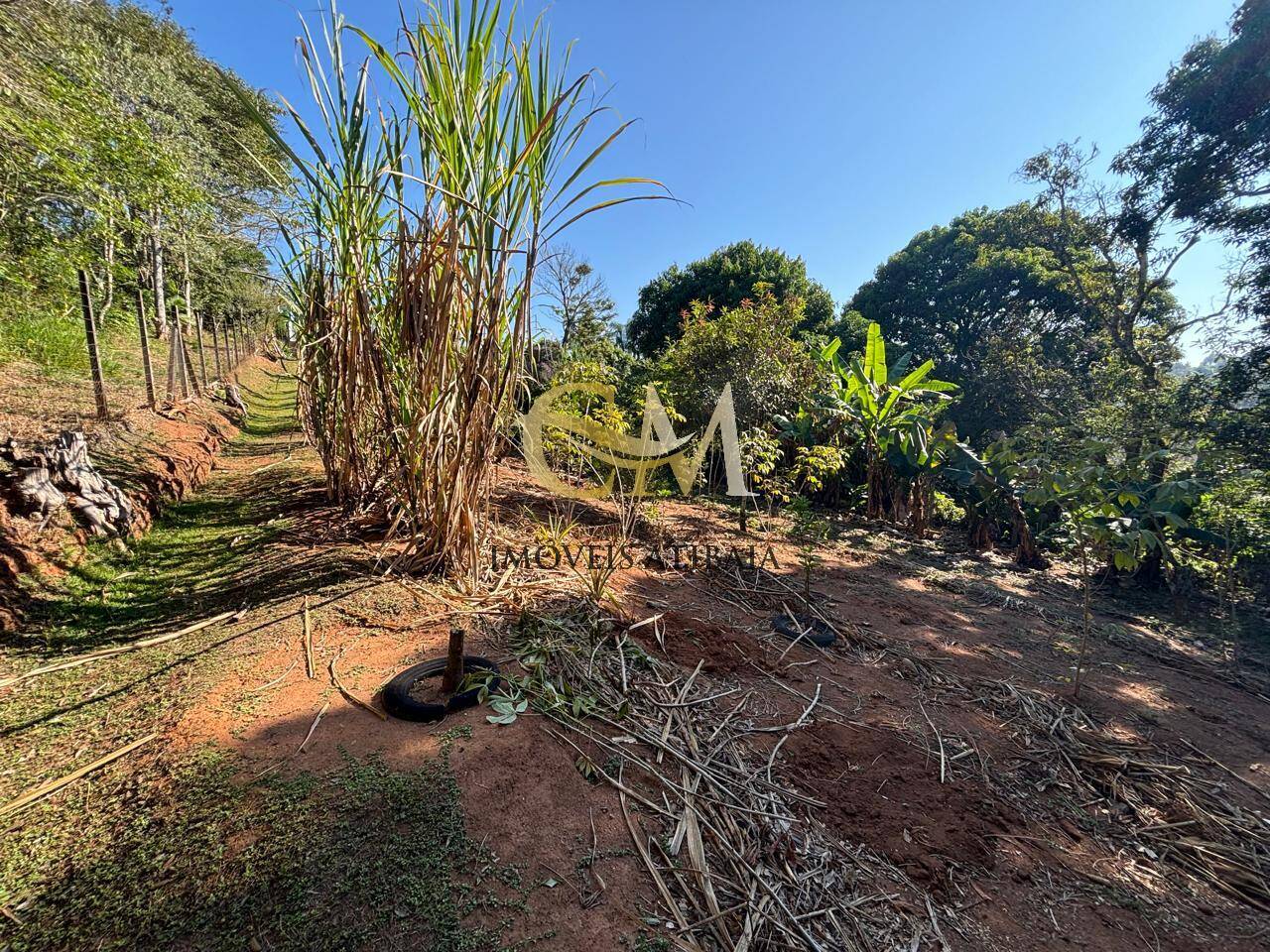 Casa, 2 quartos, 1599 m² - Foto 37