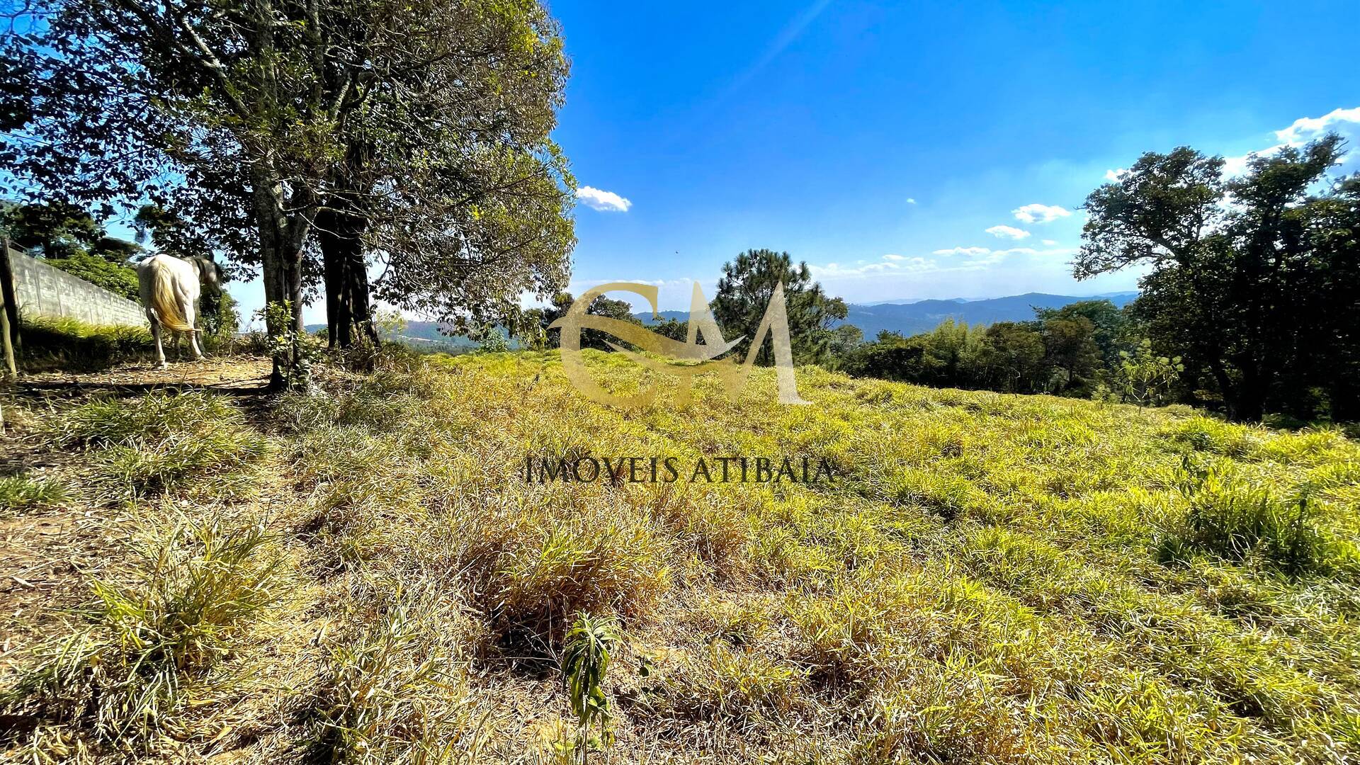 Terreno, 2000 m² - Foto 4