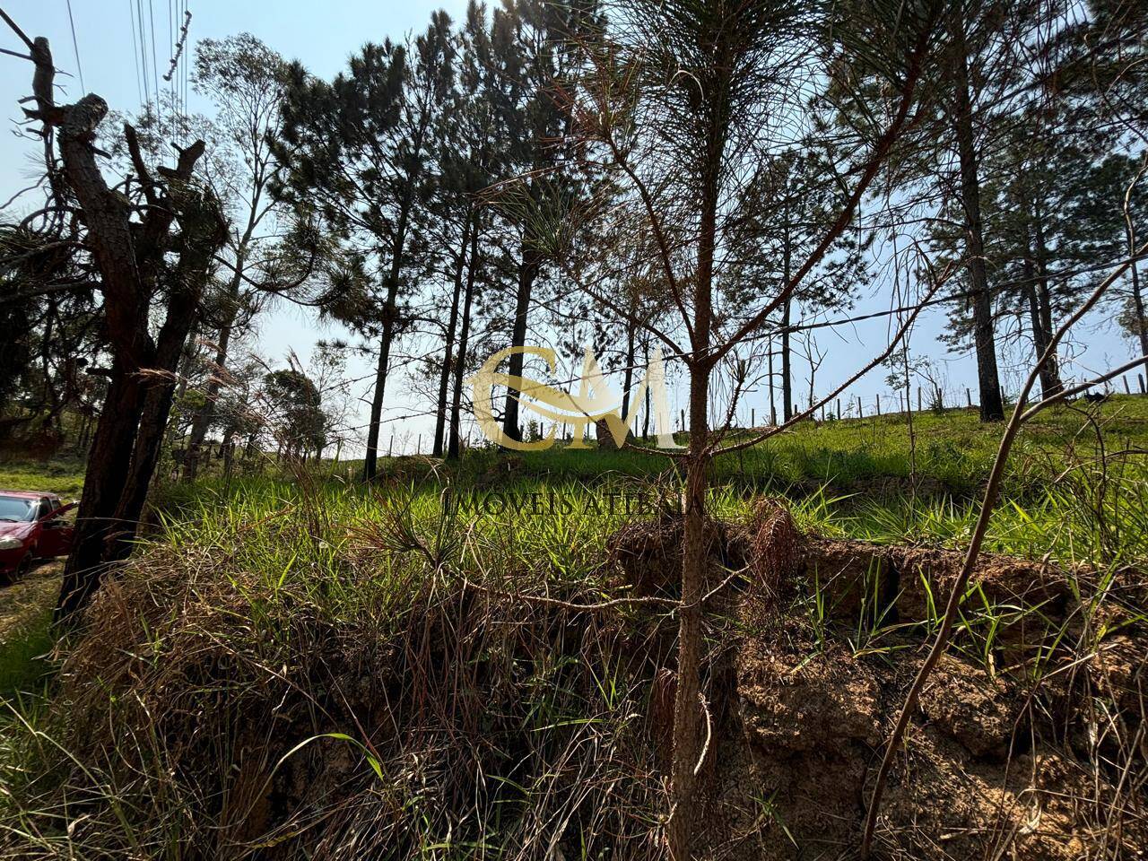 Terreno, 1190 m² - Foto 5