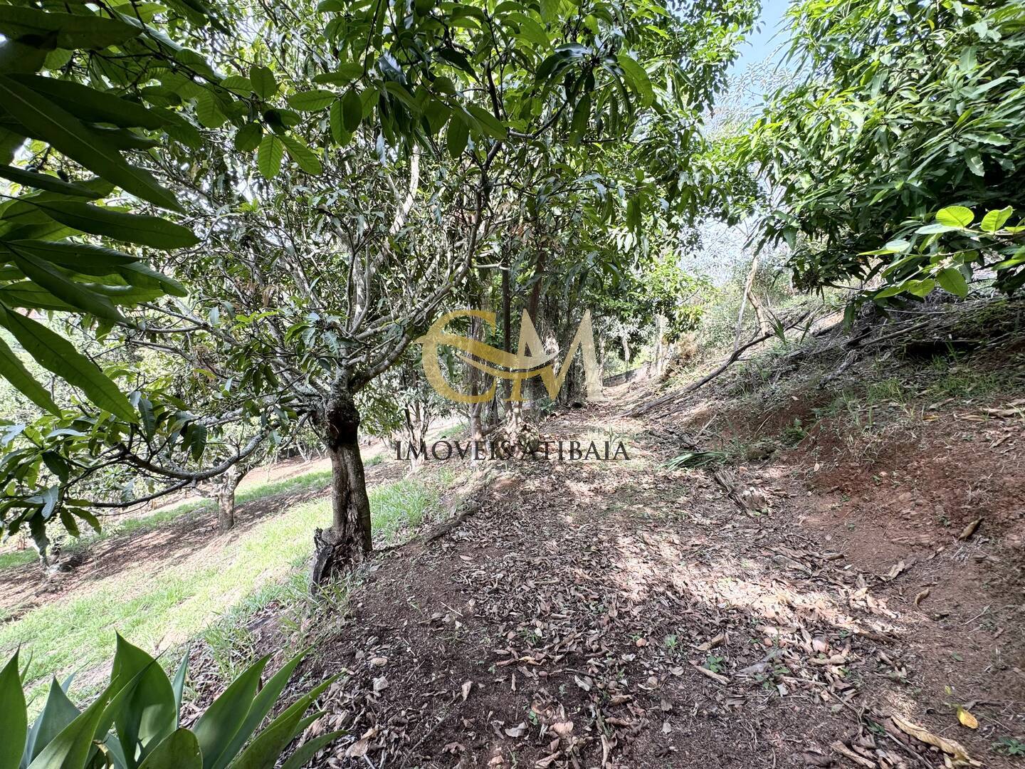 Casa, 6 quartos, 400 m² - Foto 63