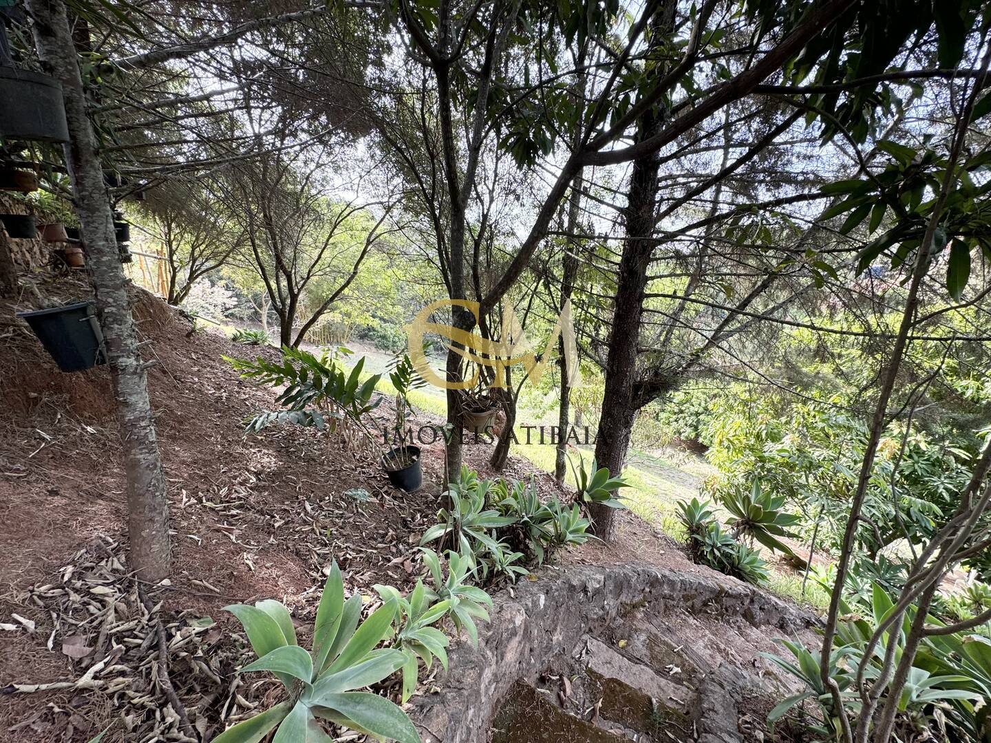 Casa, 6 quartos, 400 m² - Foto 62