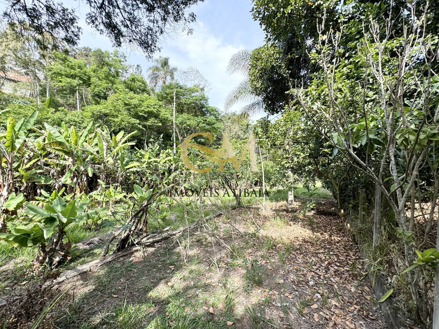 Casa, 6 quartos, 400 m² - Foto 78