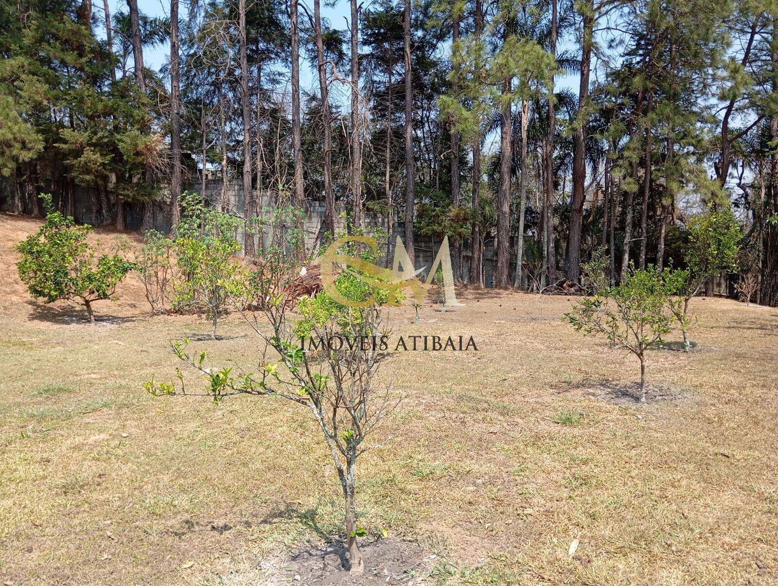 Casa, 7 quartos, 12000 m² - Foto 16