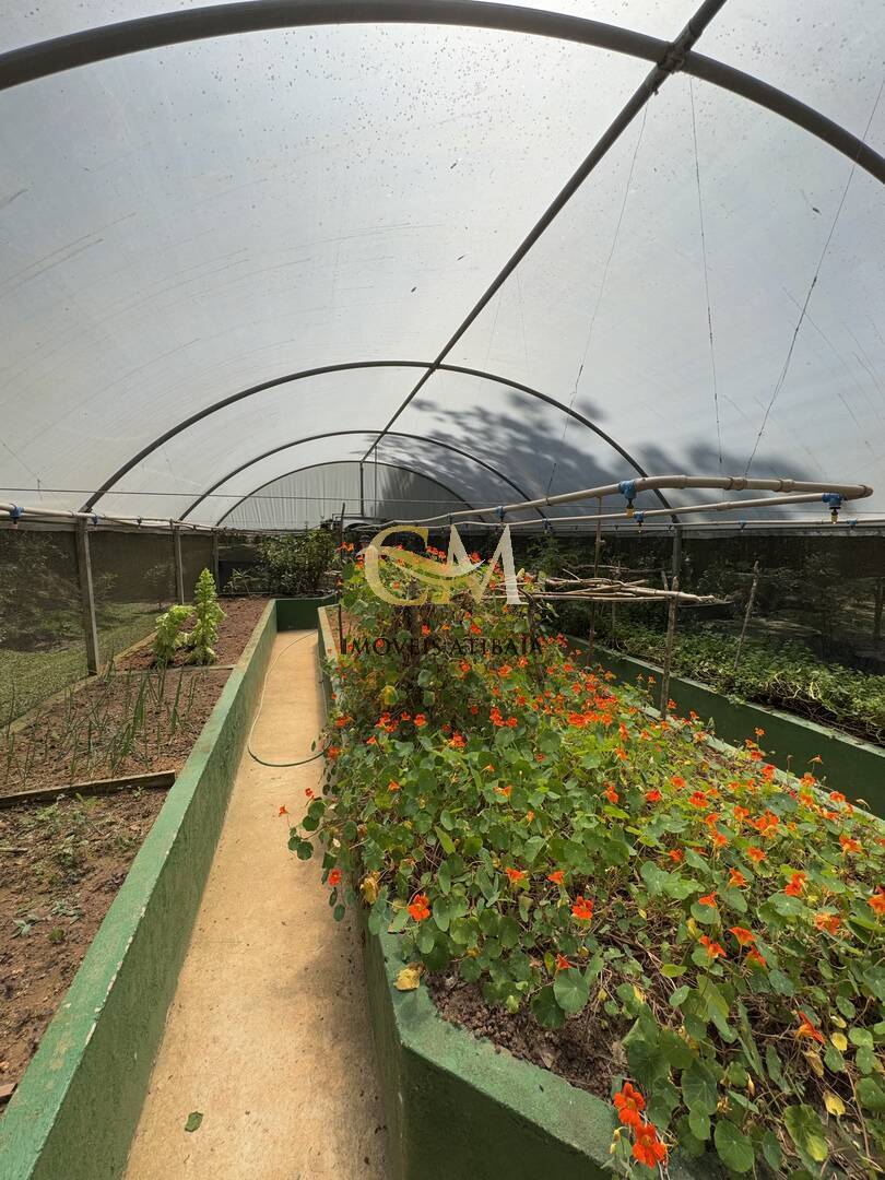 Sítio, 7 quartos, 10 hectares - Foto 61