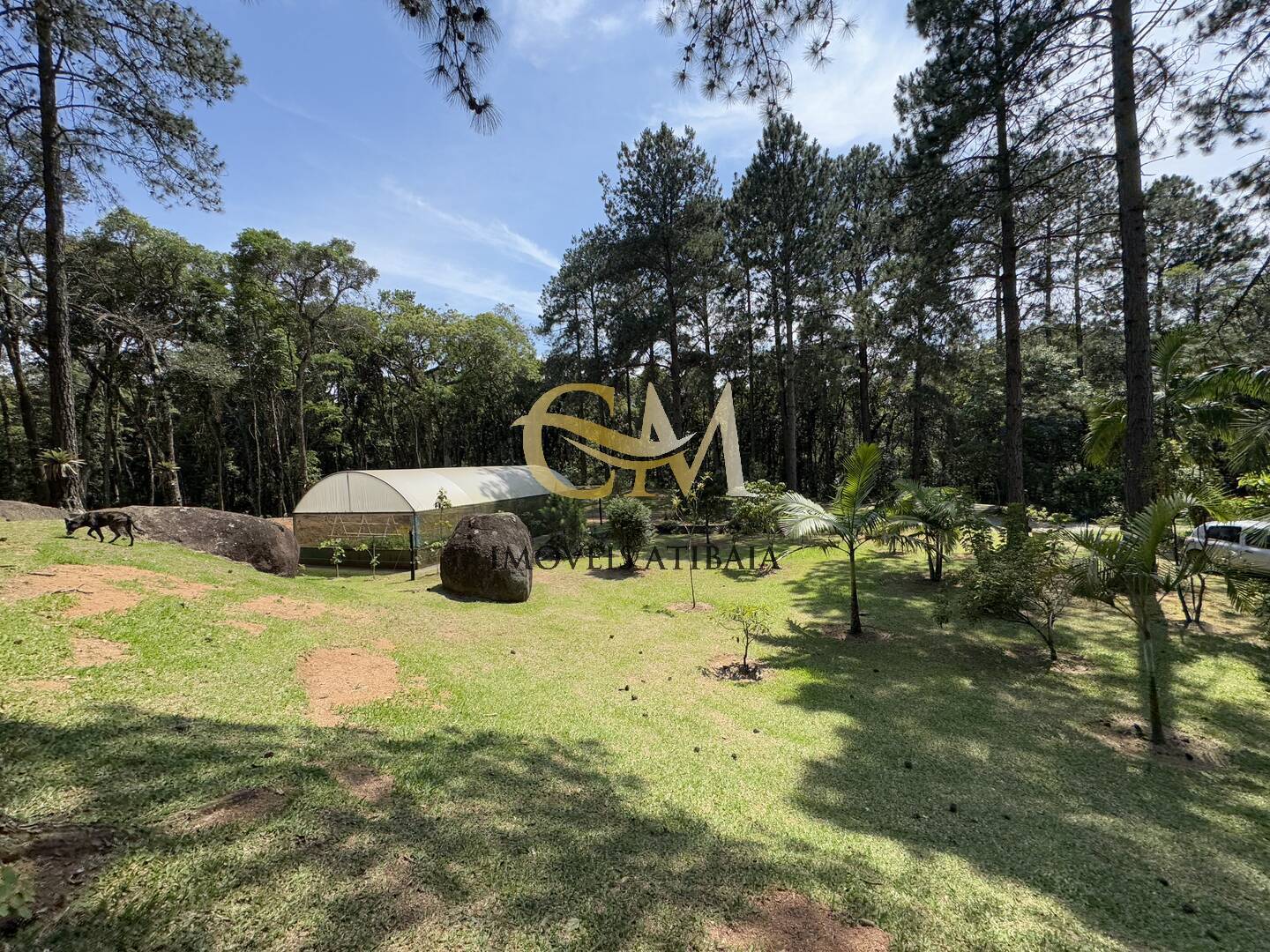 Sítio, 7 quartos, 10 hectares - Foto 78