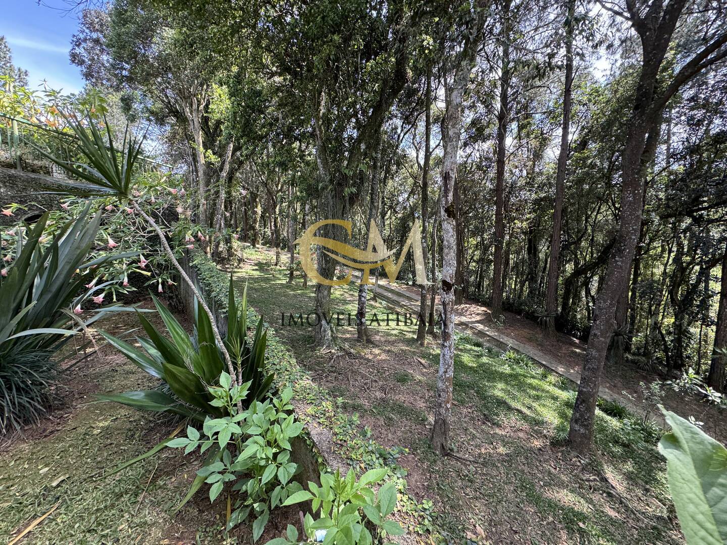 Sítio, 7 quartos, 10 hectares - Foto 81