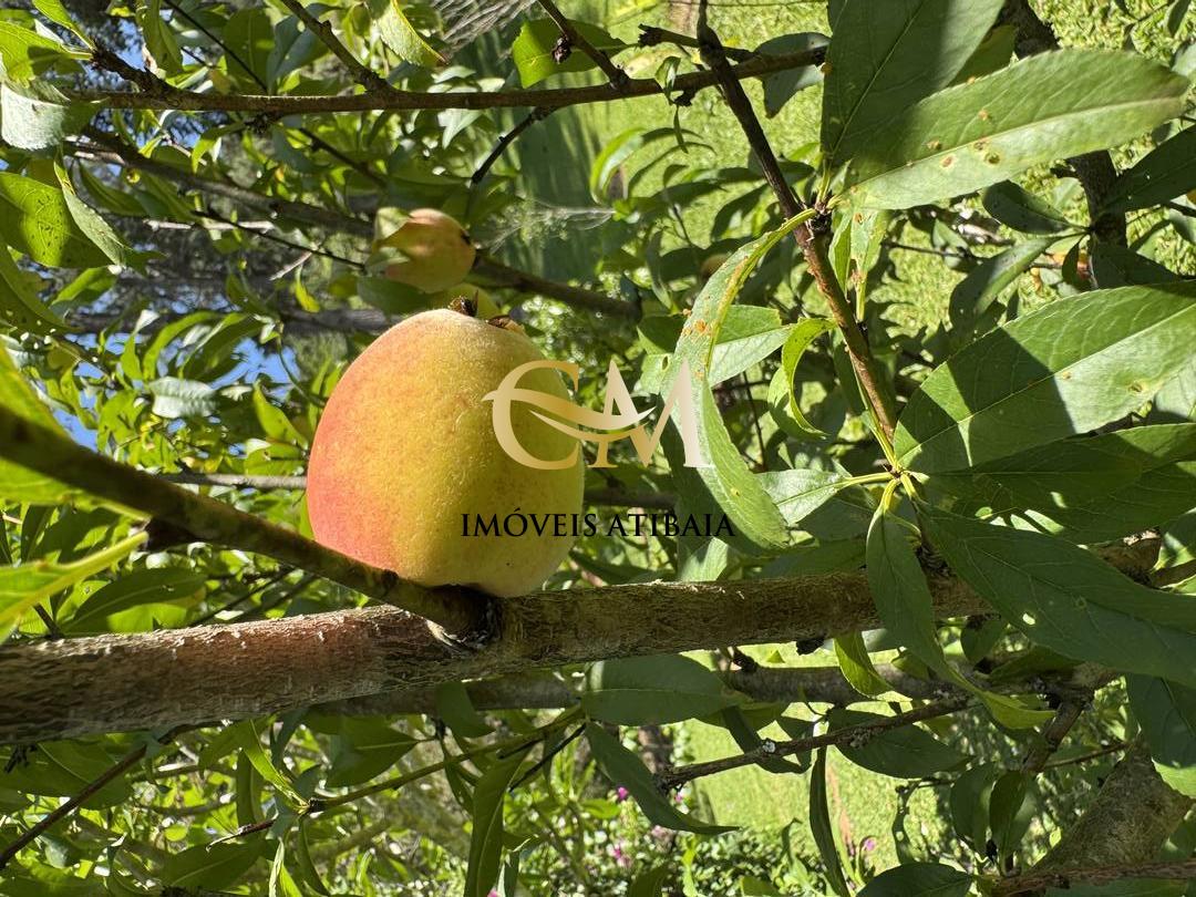 Sítio, 9 quartos, 24 hectares - Foto 87