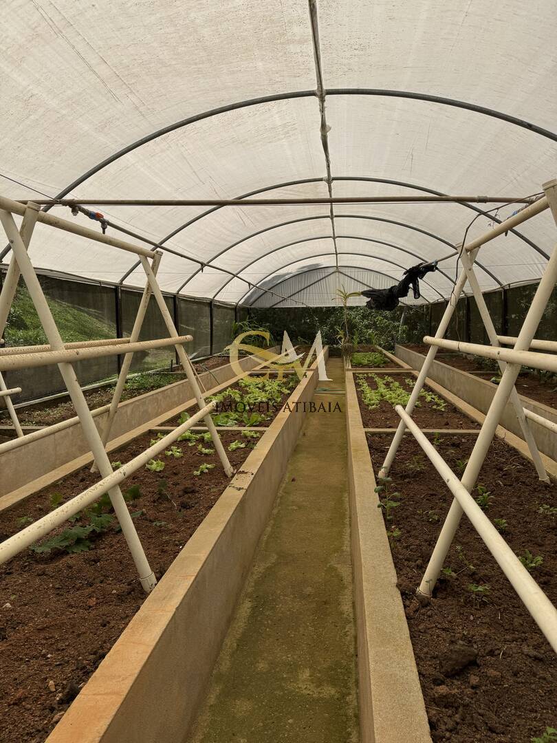 Sítio, 9 quartos, 24 hectares - Foto 100