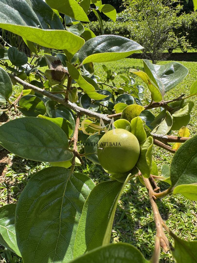 Sítio, 9 quartos, 24 hectares - Foto 91