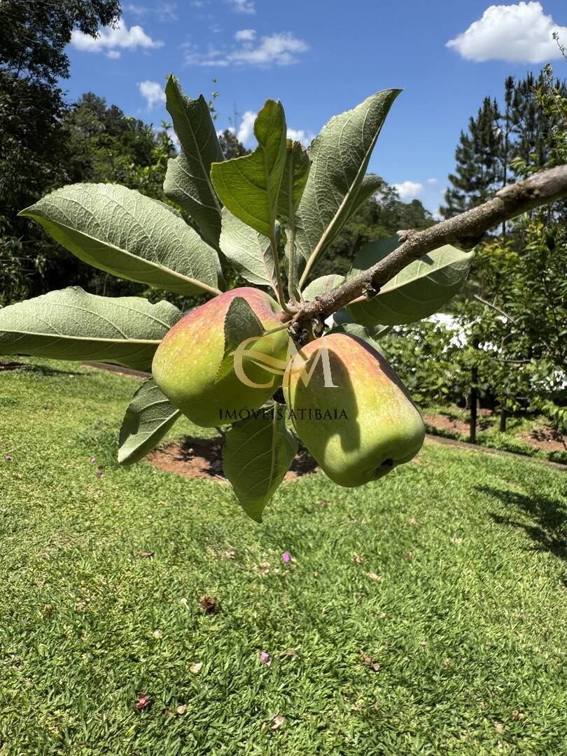 Sítio, 9 quartos, 24 hectares - Foto 94