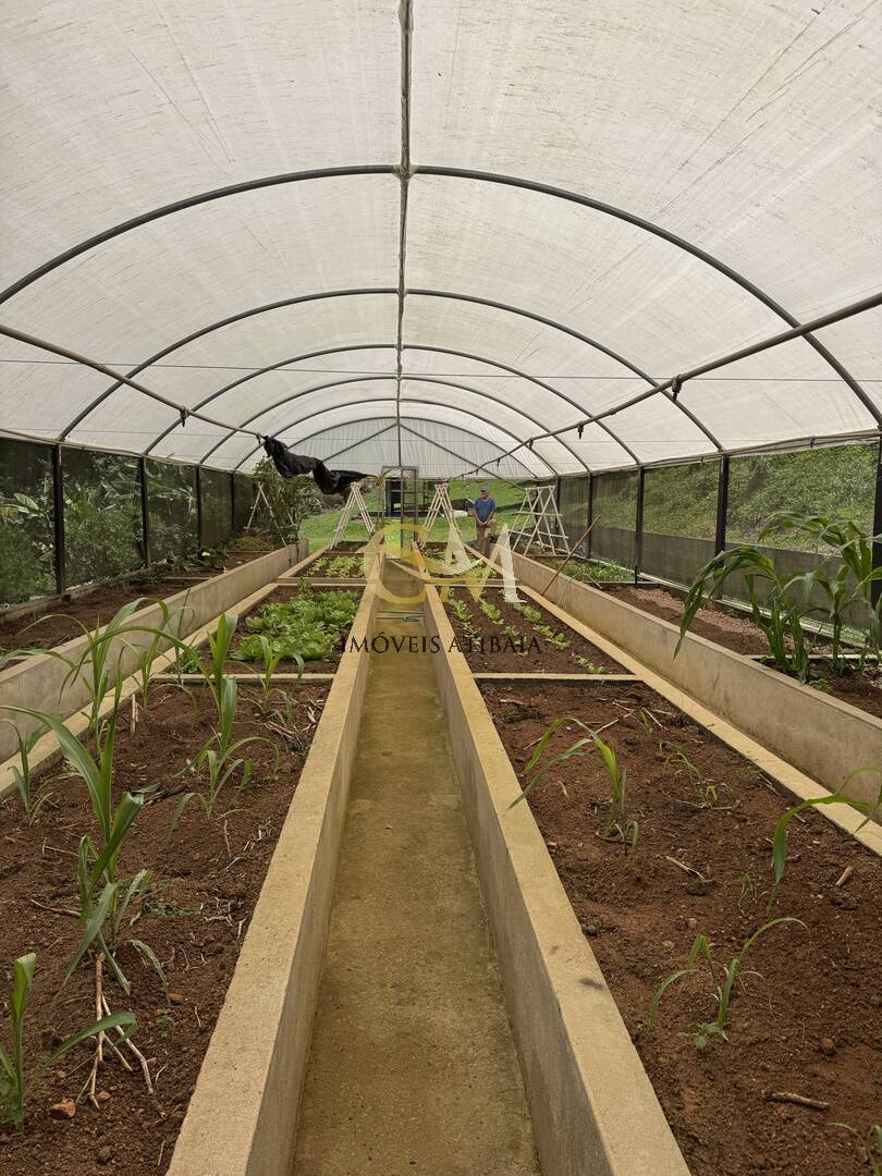 Sítio, 9 quartos, 24 hectares - Foto 99