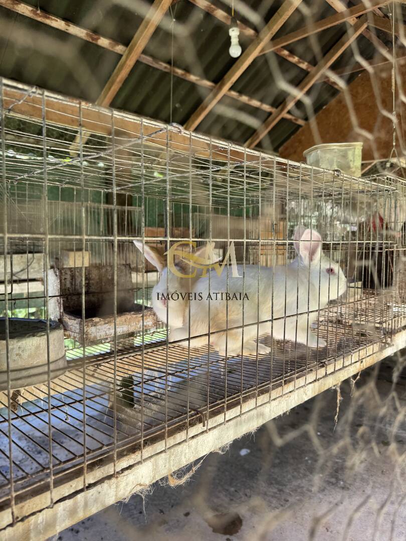 Sítio, 9 quartos, 24 hectares - Foto 105