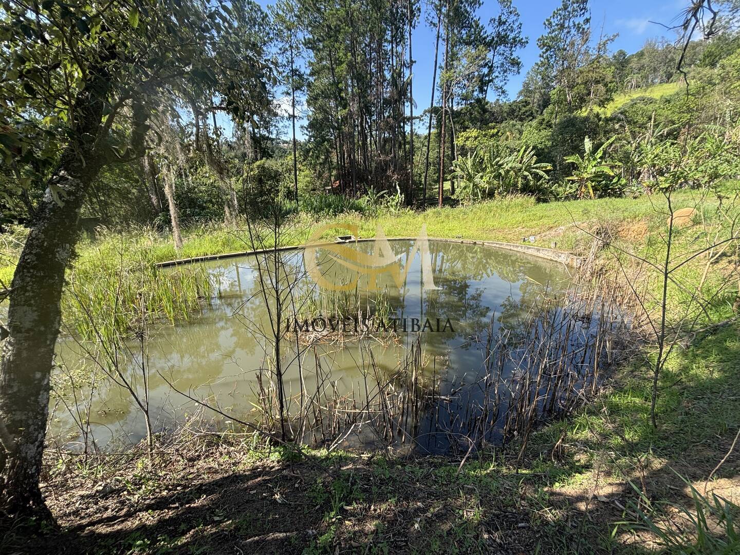 Sítio à venda com 7 quartos, 24000m² - Foto 75
