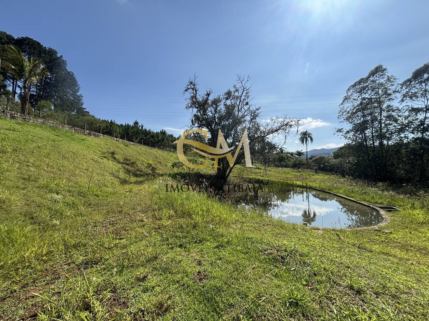 Sítio à venda com 7 quartos, 24000m² - Foto 77