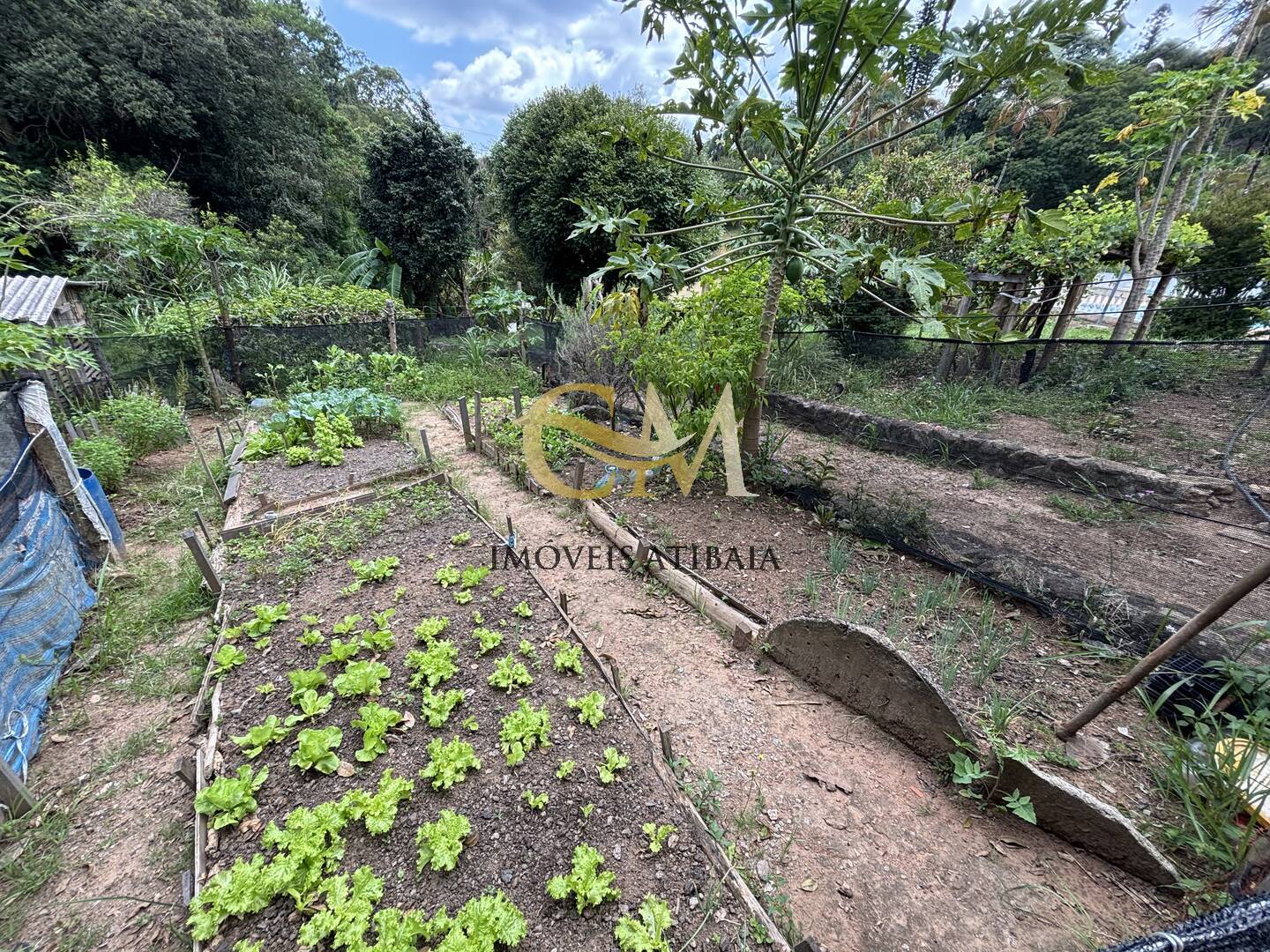 Sítio, 8 quartos, 3 hectares - Foto 40