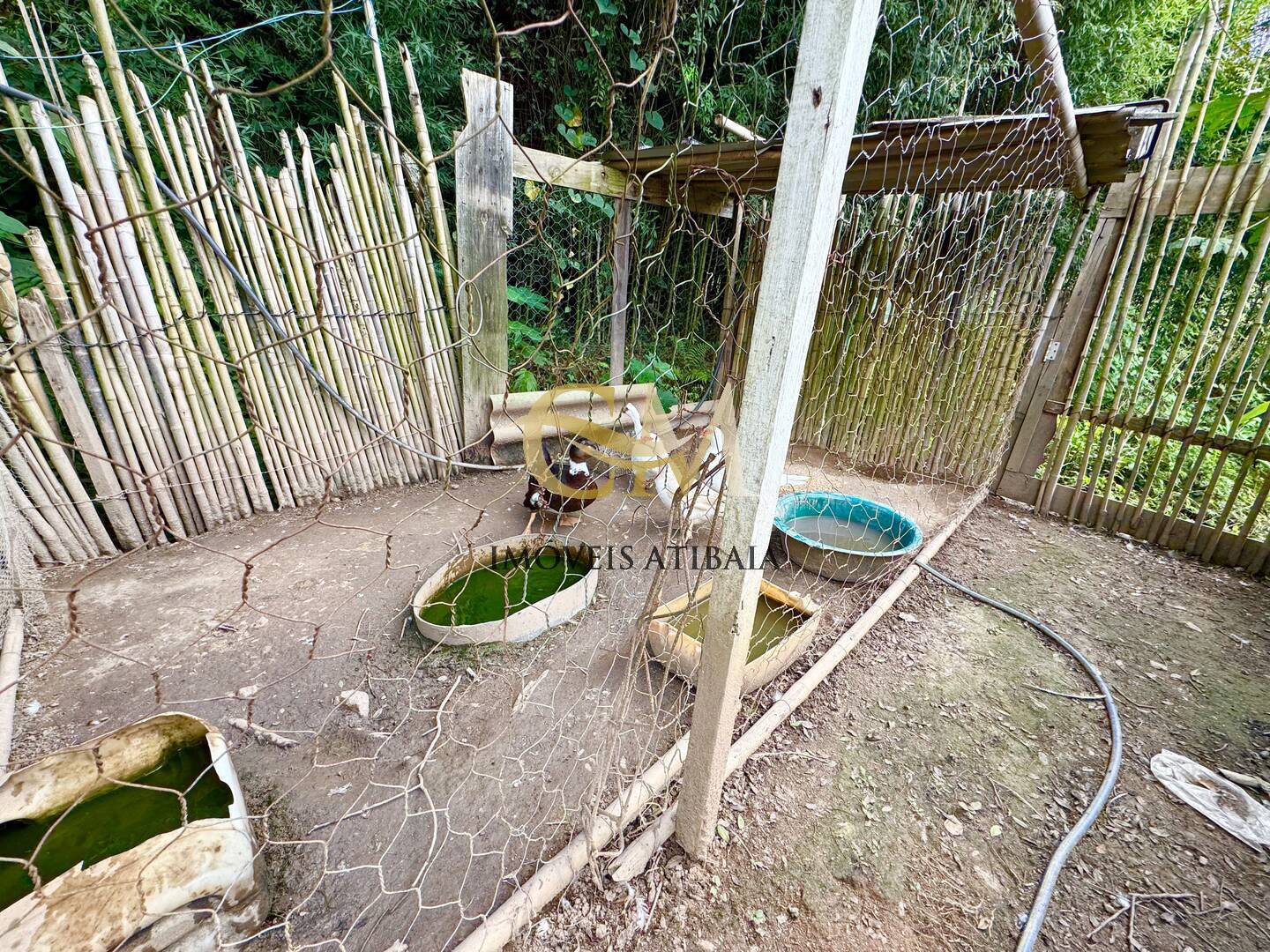 Casa, 3 quartos, 970 m² - Foto 8