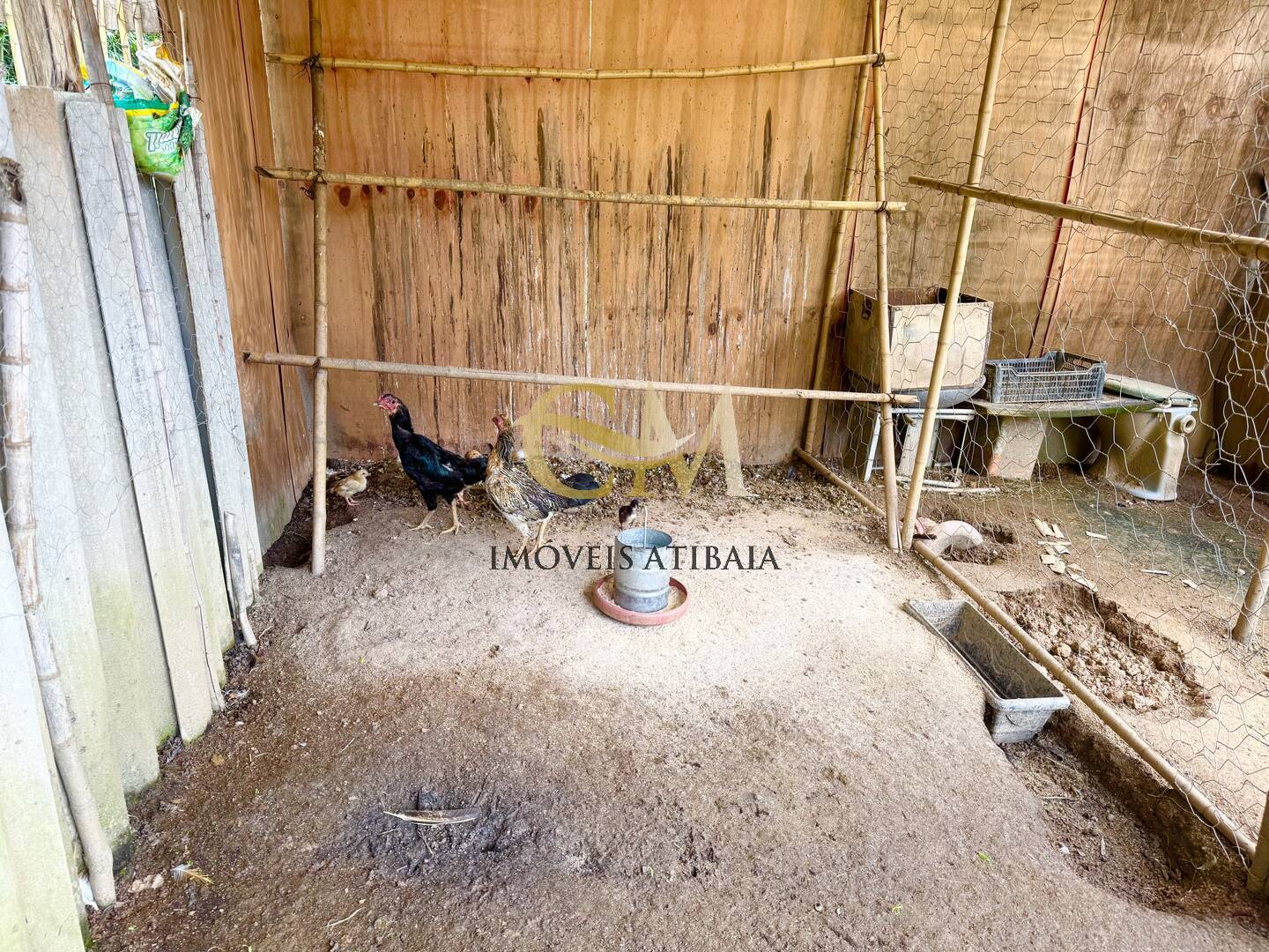 Casa, 3 quartos, 970 m² - Foto 10