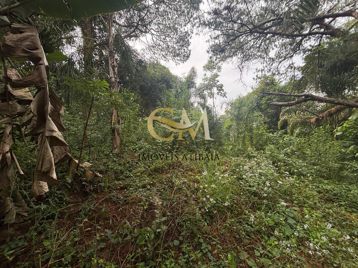 Terreno à venda, 4800m² - Foto 22