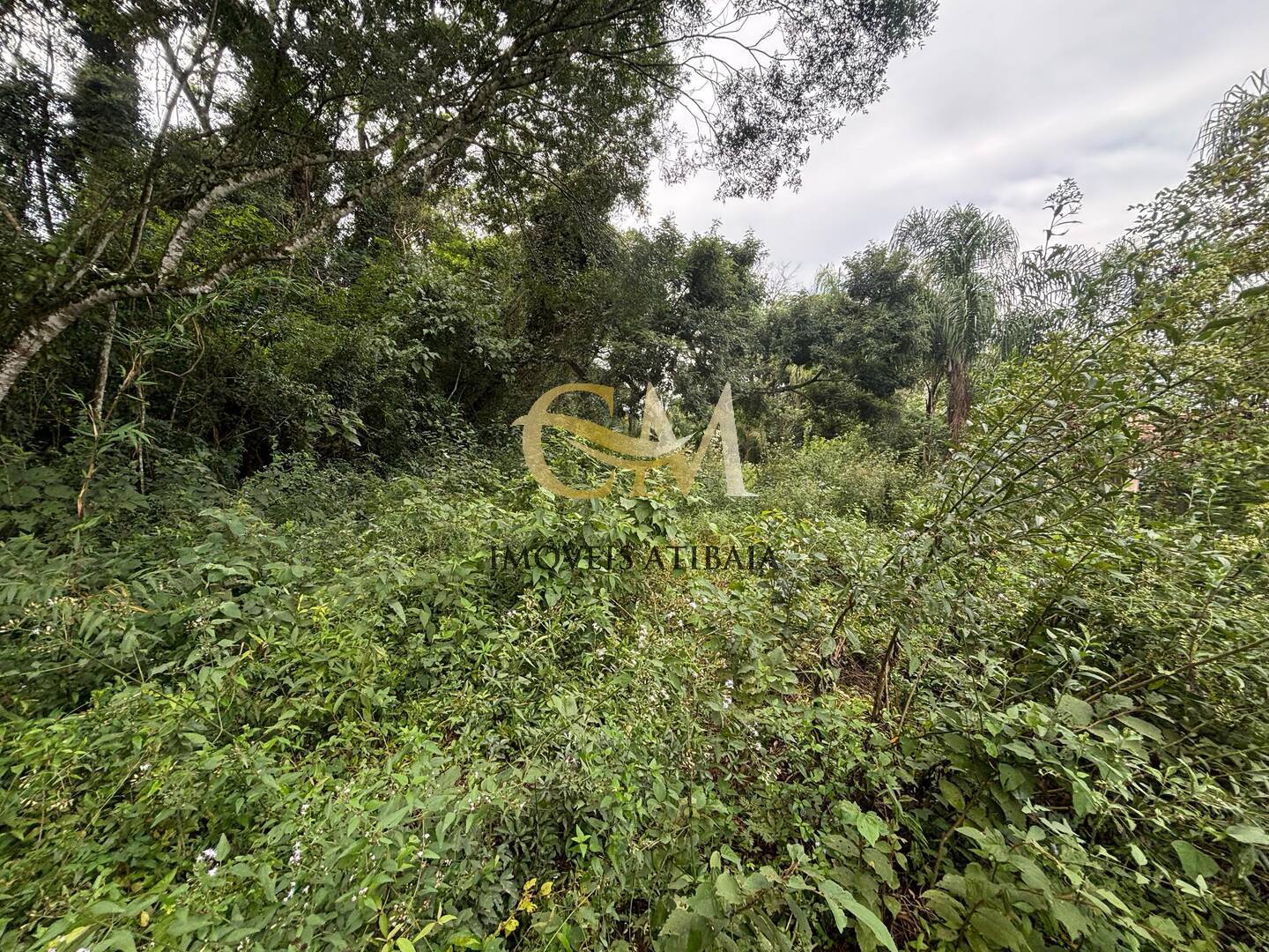 Terreno à venda, 4800m² - Foto 23