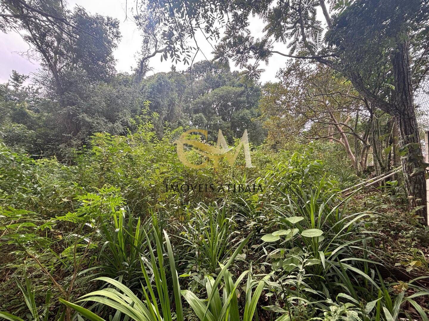 Terreno à venda, 4800m² - Foto 25