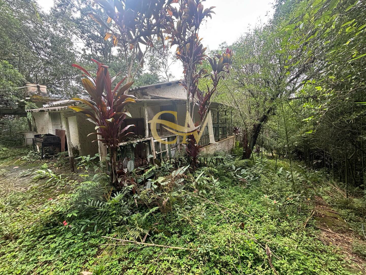 Terreno à venda, 4800m² - Foto 21