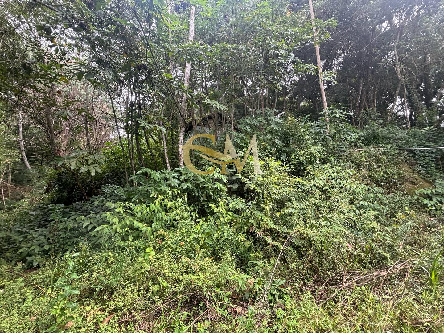 Terreno à venda, 4800m² - Foto 20