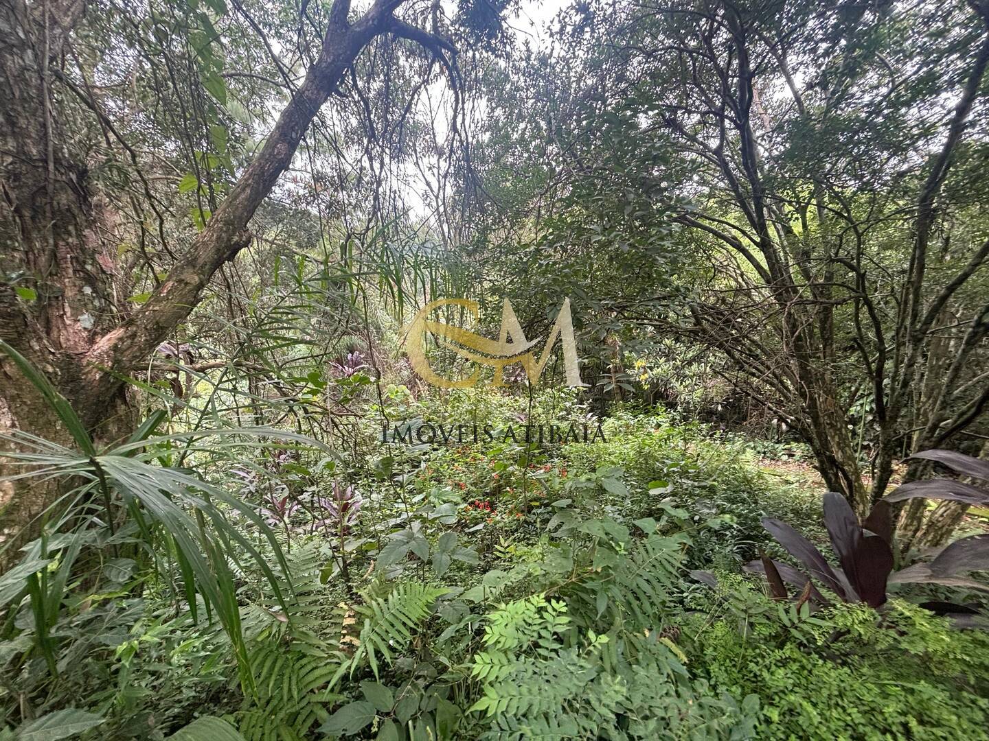 Terreno à venda, 4800m² - Foto 12