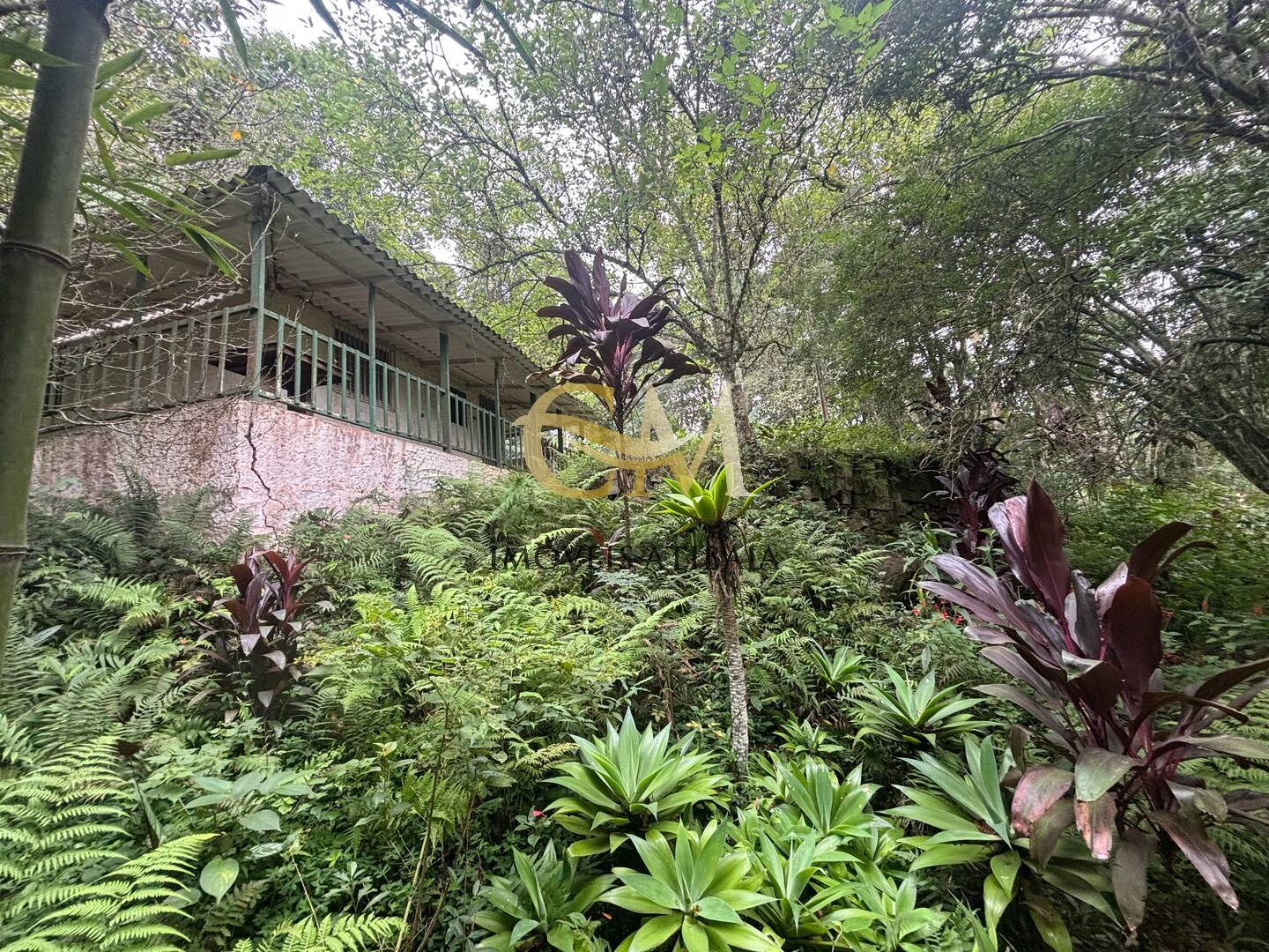 Terreno à venda, 4800m² - Foto 11