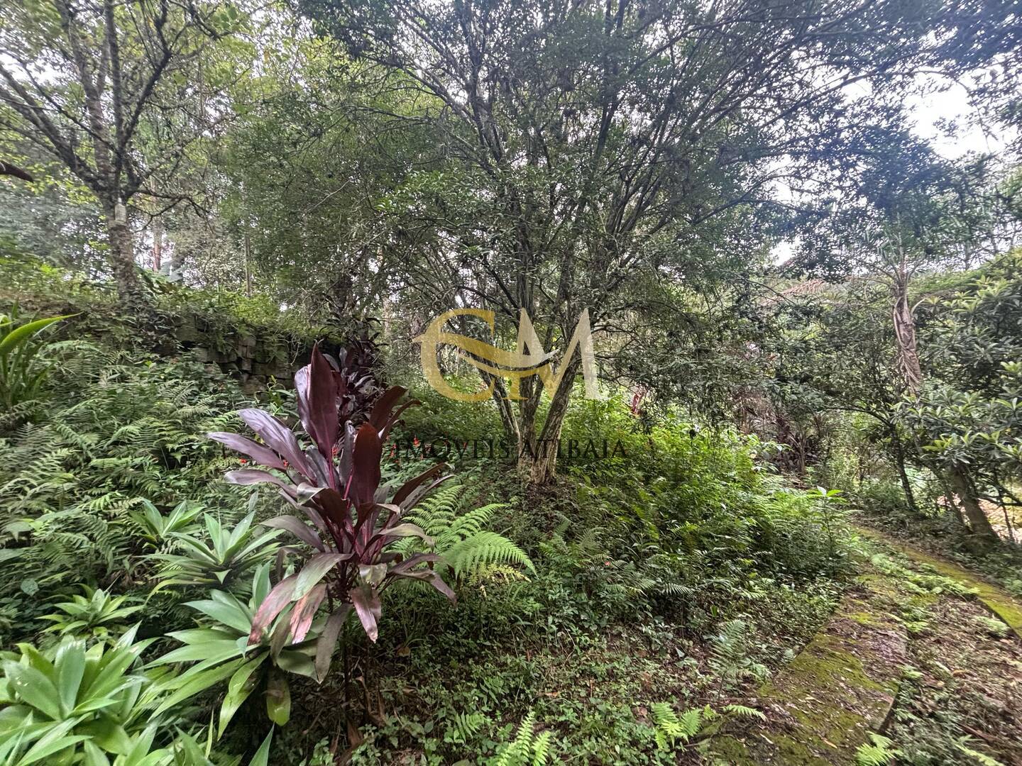 Terreno à venda, 4800m² - Foto 9