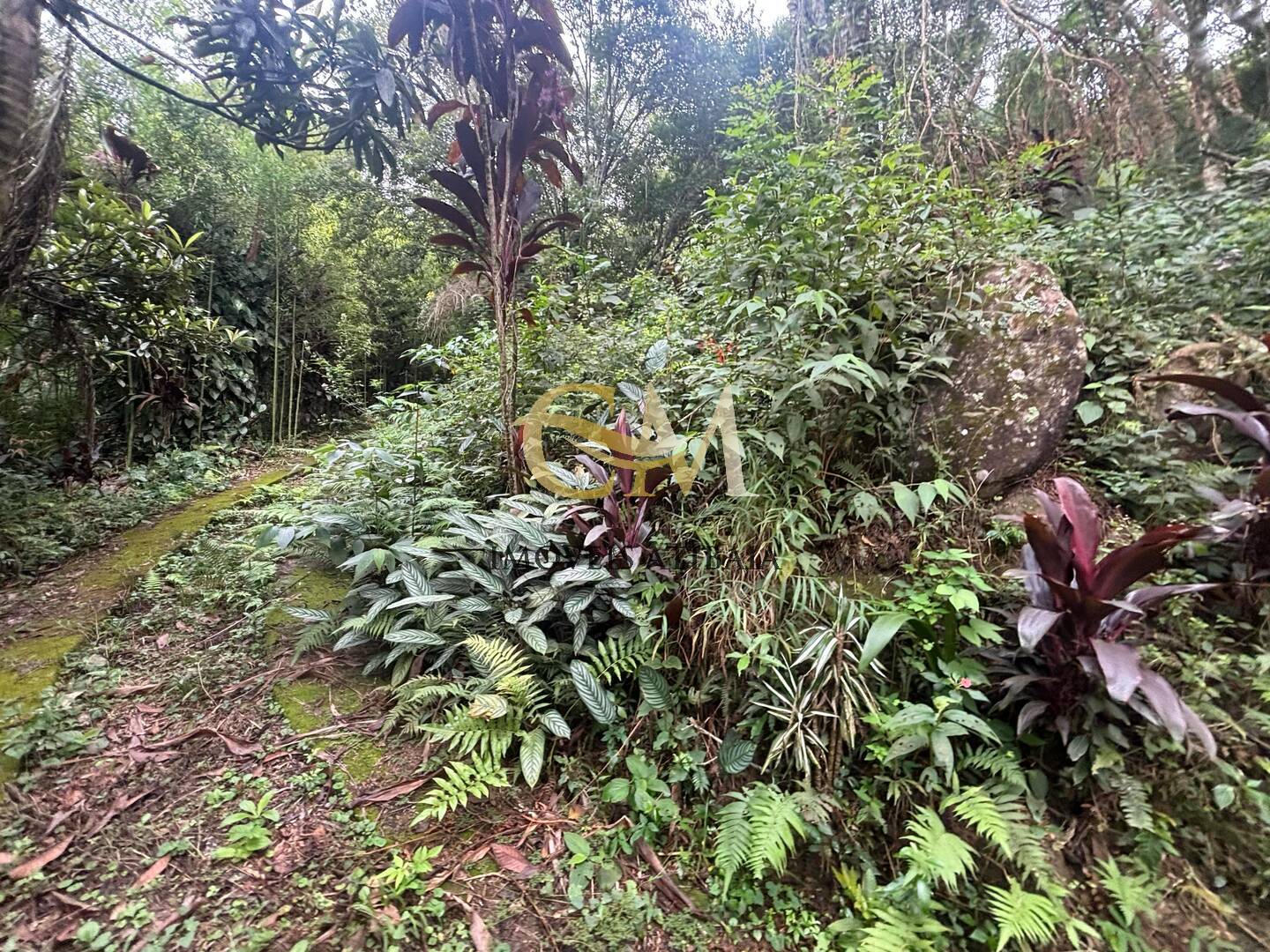 Terreno à venda, 4800m² - Foto 7