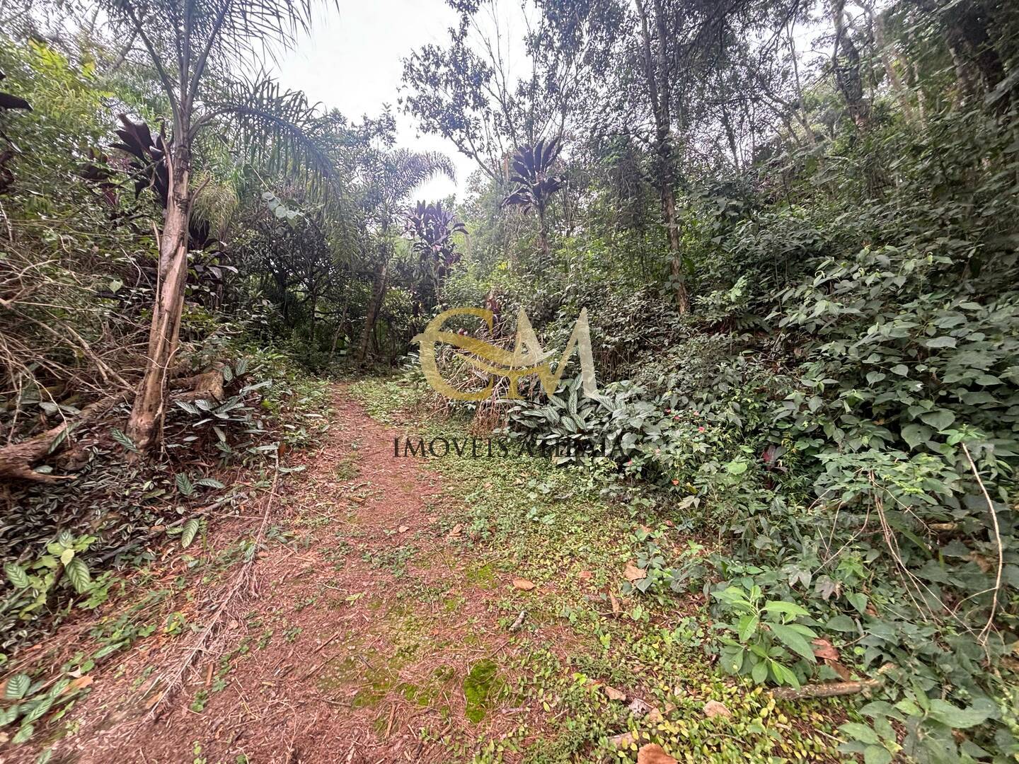 Terreno à venda, 4800m² - Foto 6