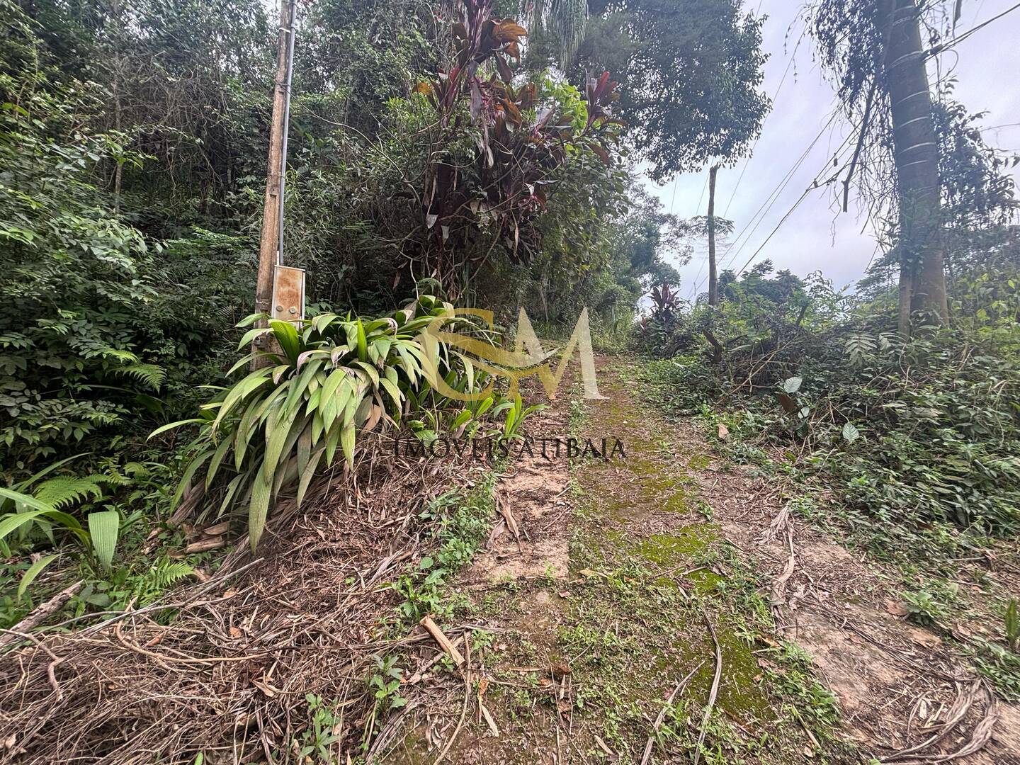 Terreno à venda, 4800m² - Foto 5