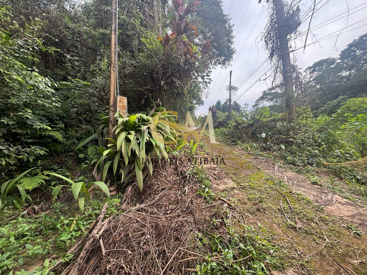 Terreno à venda, 4800m² - Foto 4