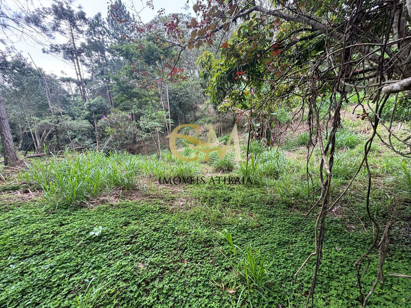 Terreno à venda, 3403m² - Foto 9