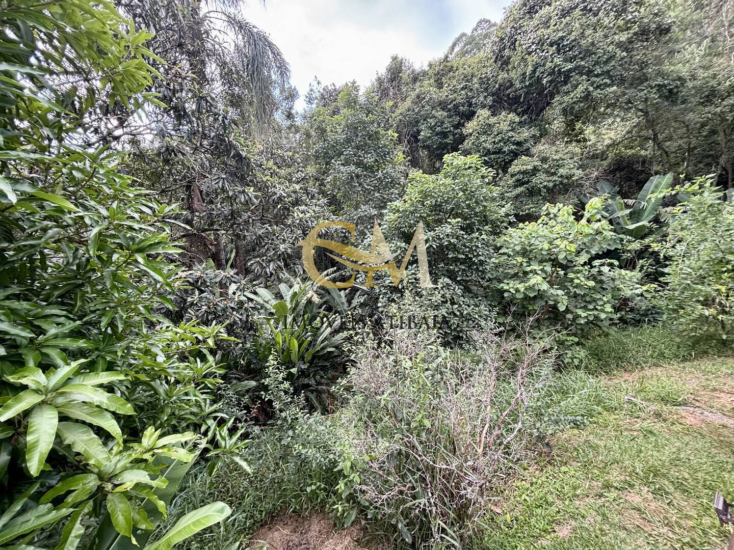 Casa, 3 quartos, 2500 m² - Foto 53