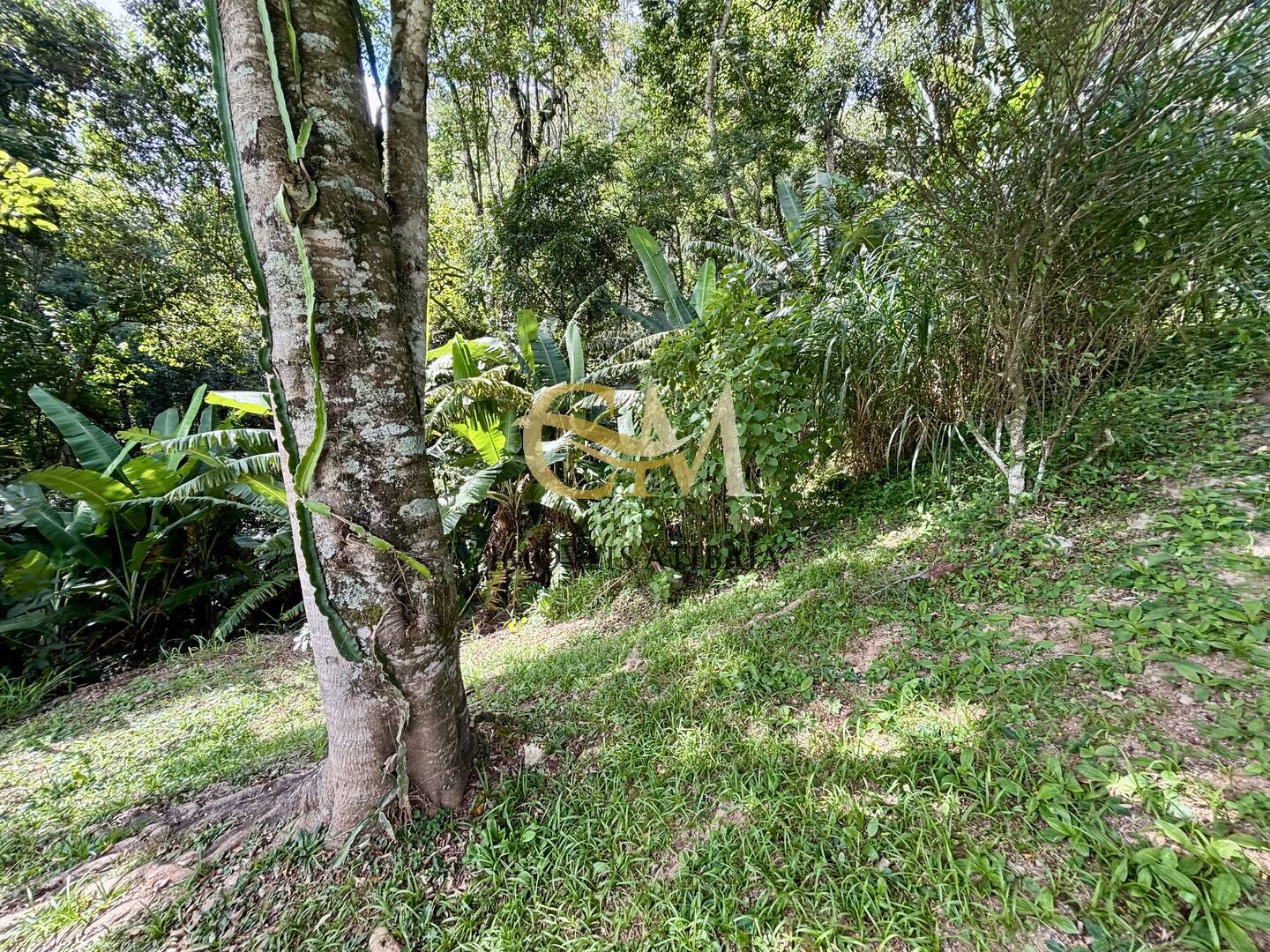 Casa, 3 quartos, 2500 m² - Foto 69