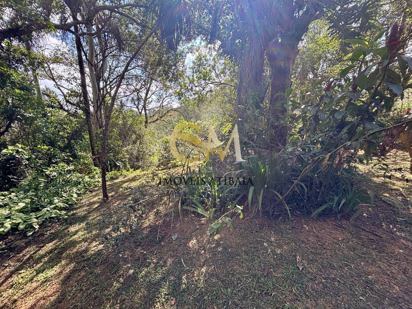 Casa à venda com 3 quartos, 5000m² - Foto 6