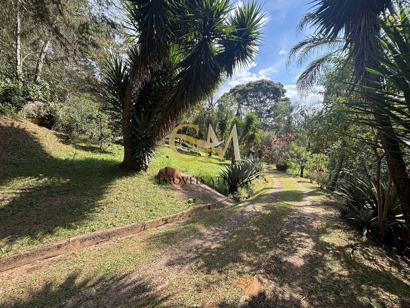 Casa à venda com 3 quartos, 5000m² - Foto 37